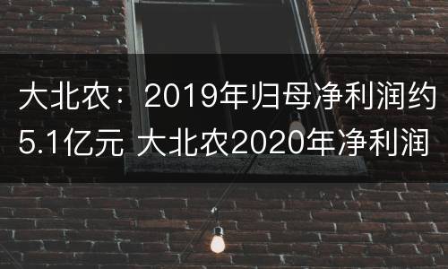 大北农：2019年归母净利润约5.1亿元 大北农2020年净利润
