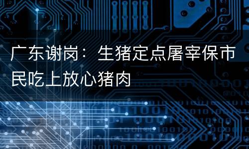 广东谢岗：生猪定点屠宰保市民吃上放心猪肉