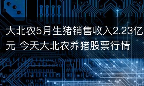 大北农5月生猪销售收入2.23亿元 今天大北农养猪股票行情