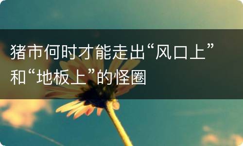 猪市何时才能走出“风口上”和“地板上”的怪圈