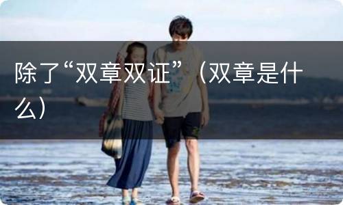 除了“双章双证”（双章是什么）