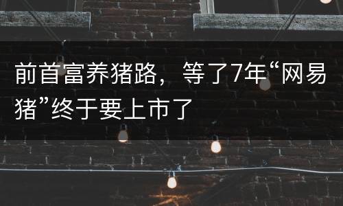 前首富养猪路，等了7年“网易猪”终于要上市了