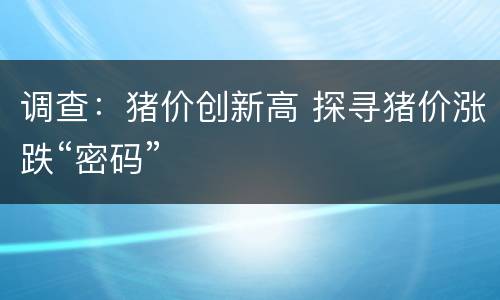 调查：猪价创新高 探寻猪价涨跌“密码”