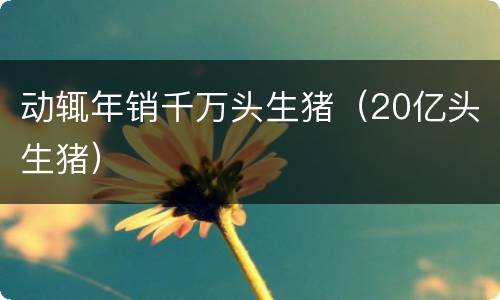 动辄年销千万头生猪（20亿头生猪）
