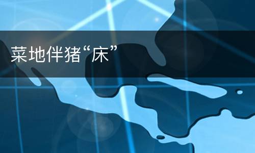 菜地伴猪“床”