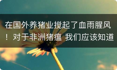 在国外养猪业搅起了血雨腥风！对于非洲猪瘟 我们应该知道这些