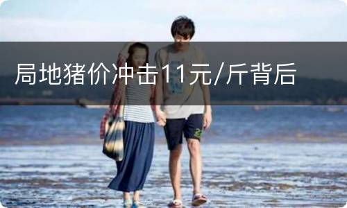 局地猪价冲击11元/斤背后