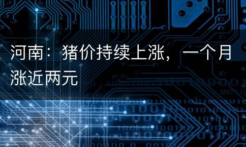 河南：猪价持续上涨，一个月涨近两元