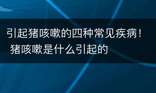 引起猪咳嗽的四种常见疾病！ 猪咳嗽是什么引起的