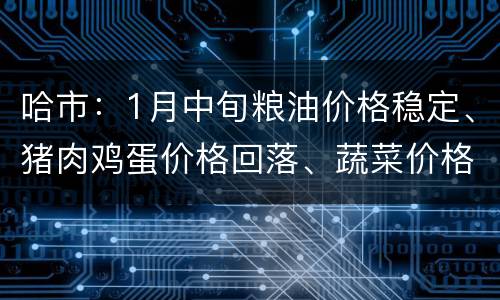 哈市：1月中旬粮油价格稳定、猪肉鸡蛋价格回落、蔬菜价格小幅反弹