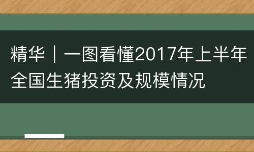 精华｜一图看懂2017年上半年全国生猪投资及规模情况