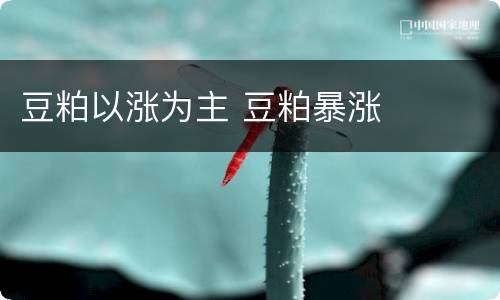 豆粕以涨为主 豆粕暴涨