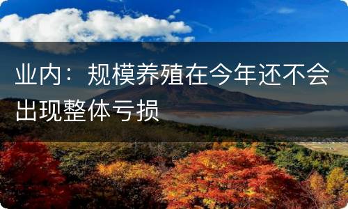 业内：规模养殖在今年还不会出现整体亏损