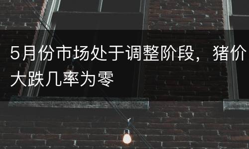 5月份市场处于调整阶段，猪价大跌几率为零