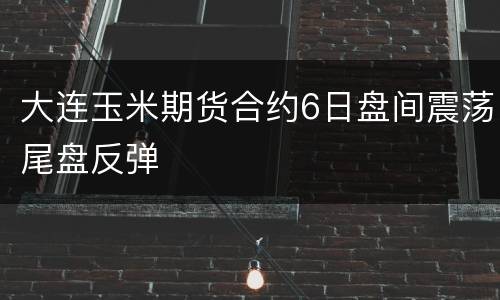 大连玉米期货合约6日盘间震荡尾盘反弹