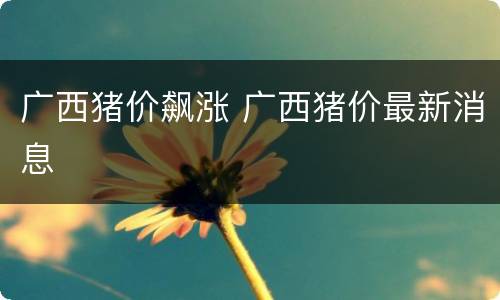 广西猪价飙涨 广西猪价最新消息