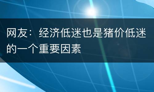 网友：经济低迷也是猪价低迷的一个重要因素