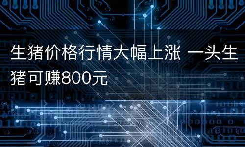 生猪价格行情大幅上涨 一头生猪可赚800元