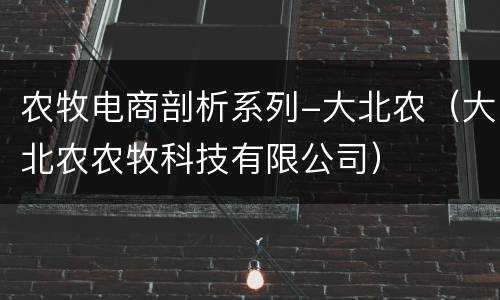 农牧电商剖析系列-大北农（大北农农牧科技有限公司）