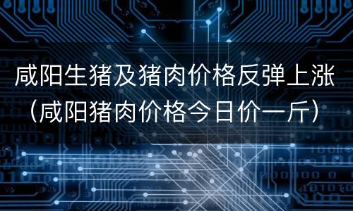 咸阳生猪及猪肉价格反弹上涨（咸阳猪肉价格今日价一斤）