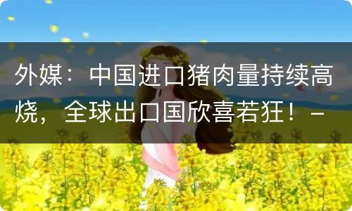 外媒：中国进口猪肉量持续高烧，全球出口国欣喜若狂！-
