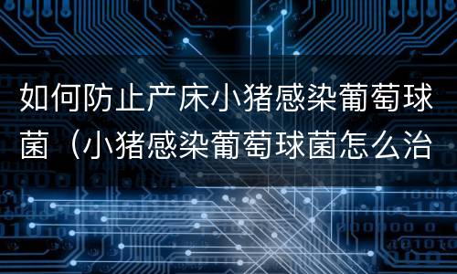 如何防止产床小猪感染葡萄球菌（小猪感染葡萄球菌怎么治疗）