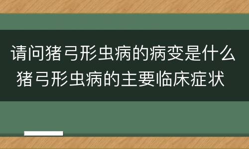 请问猪弓形虫病的病变是什么 猪弓形虫病的主要临床症状
