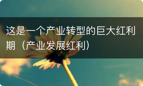 这是一个产业转型的巨大红利期（产业发展红利）