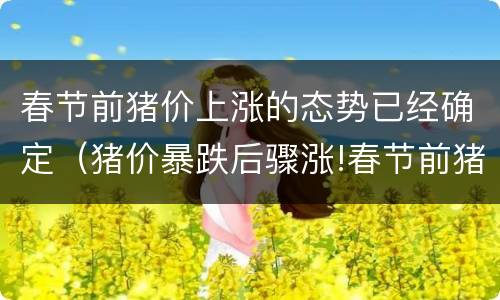 春节前猪价上涨的态势已经确定（猪价暴跌后骤涨!春节前猪价预测）