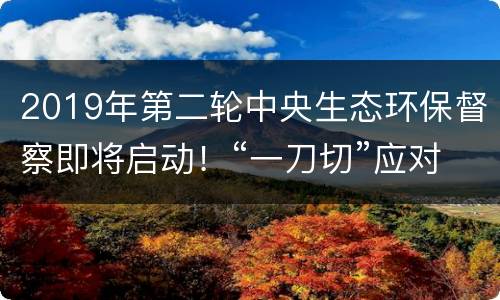 2019年第二轮中央生态环保督察即将启动！“一刀切”应对督察将给