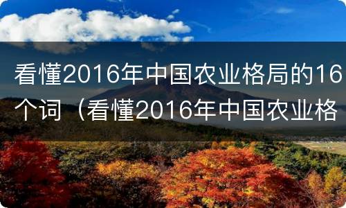 看懂2016年中国农业格局的16个词（看懂2016年中国农业格局的16个词汇）