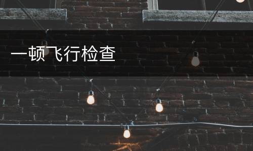一顿飞行检查
