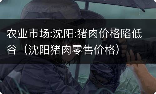 农业市场:沈阳:猪肉价格陷低谷（沈阳猪肉零售价格）