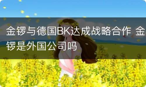 金锣与德国BK达成战略合作 金锣是外国公司吗