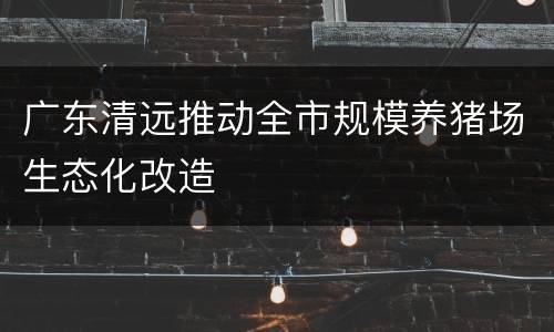 广东清远推动全市规模养猪场生态化改造