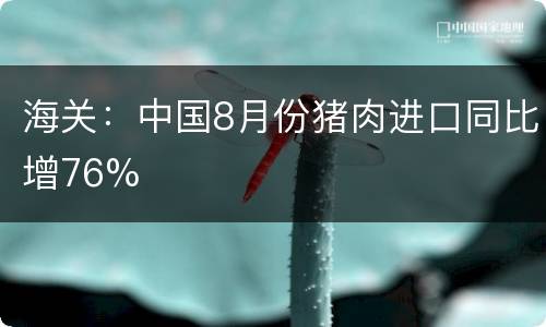 海关：中国8月份猪肉进口同比增76%