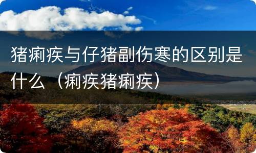 猪痢疾与仔猪副伤寒的区别是什么（痢疾猪痢疾）