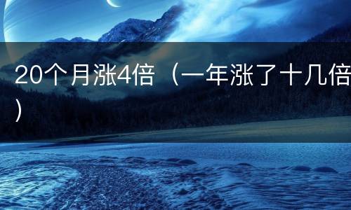 20个月涨4倍（一年涨了十几倍）