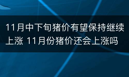 11月中下旬猪价有望保持继续上涨 11月份猪价还会上涨吗