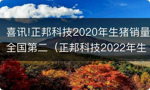 喜讯!正邦科技2020年生猪销量全国第二（正邦科技2022年生猪出栏数量）