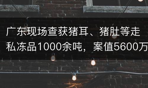广东现场查获猪耳、猪肚等走私冻品1000余吨，案值5600万!