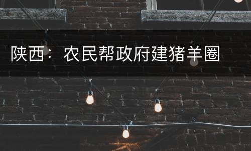 陕西：农民帮政府建猪羊圈