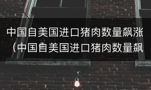 中国自美国进口猪肉数量飙涨（中国自美国进口猪肉数量飙涨多少）