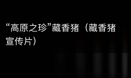 “高原之珍”藏香猪（藏香猪宣传片）