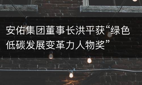 安佑集团董事长洪平获“绿色低碳发展变革力人物奖”