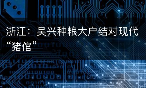 浙江：吴兴种粮大户结对现代“猪倌”