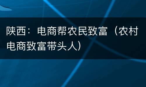 陕西：电商帮农民致富（农村电商致富带头人）