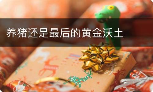 养猪还是最后的黄金沃土