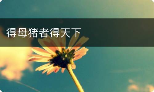 得母猪者得天下