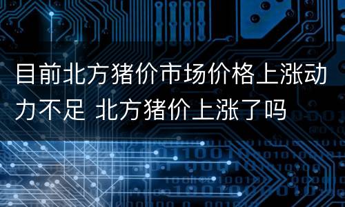 目前北方猪价市场价格上涨动力不足 北方猪价上涨了吗